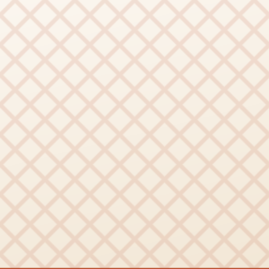 Lined Zip Pouch, Medium — placeholder Placeholder tile for Lined Zip Pouch, Medium. Product photography pending.